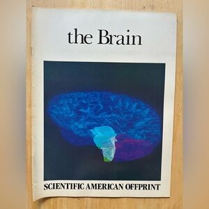 The Brain - Scientific American Offprint 1984